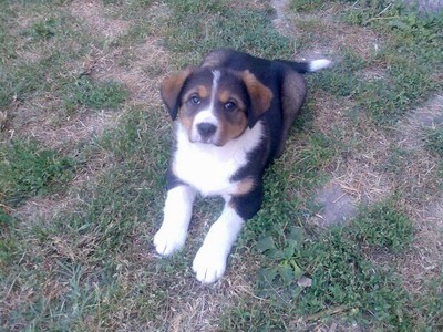 Brita - foto povečava