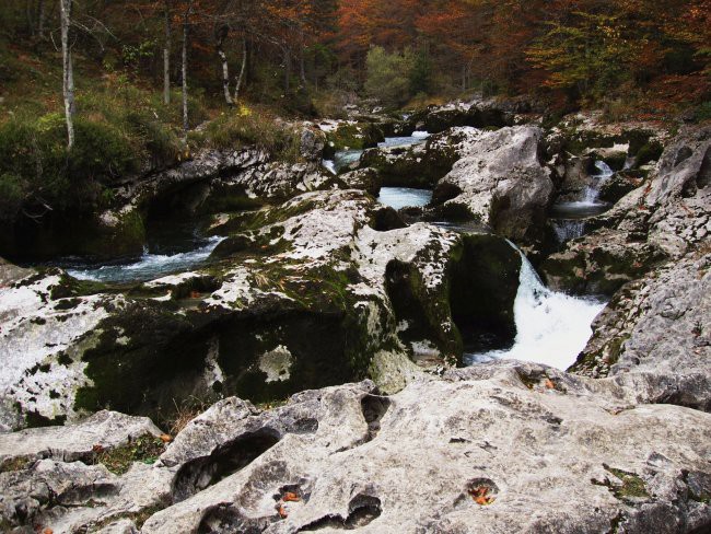 Sportni dan - foto povečava