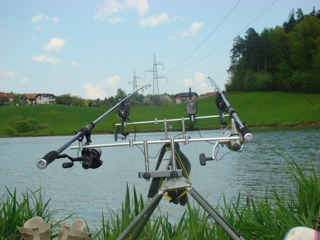 Ribe - foto povečava