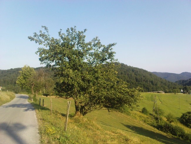Lepote slovenije - Vače GEOSS - foto povečava