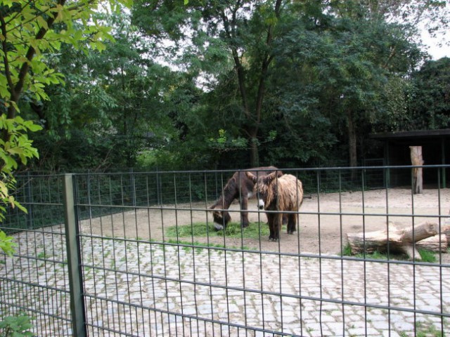 BERLIN, september 2007 - foto