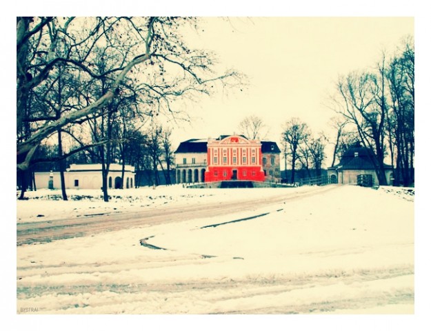 Pałac w Kurozwękach zimą