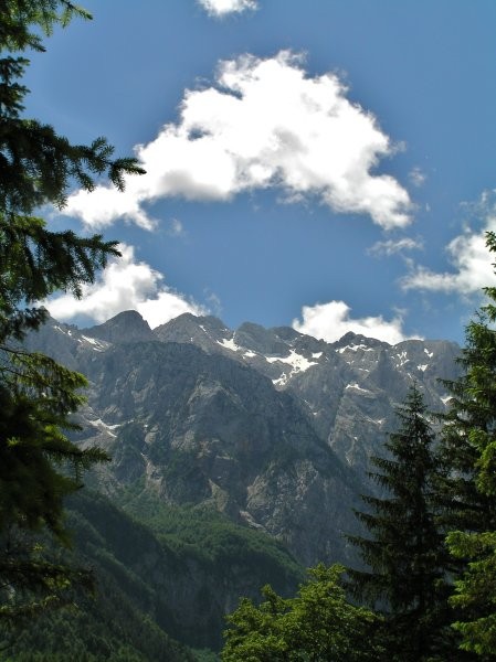 Logarska dolina - foto povečava