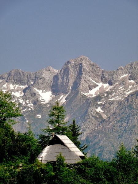 Planinska koča