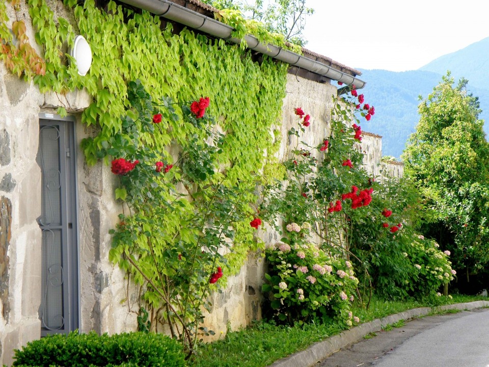 Gornjesavinjska dolina - foto povečava