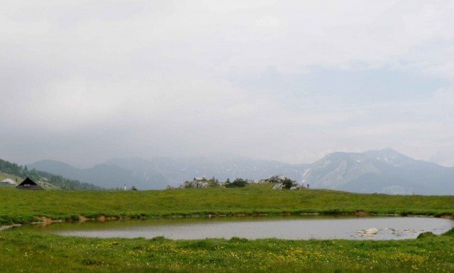 Velika planina - foto