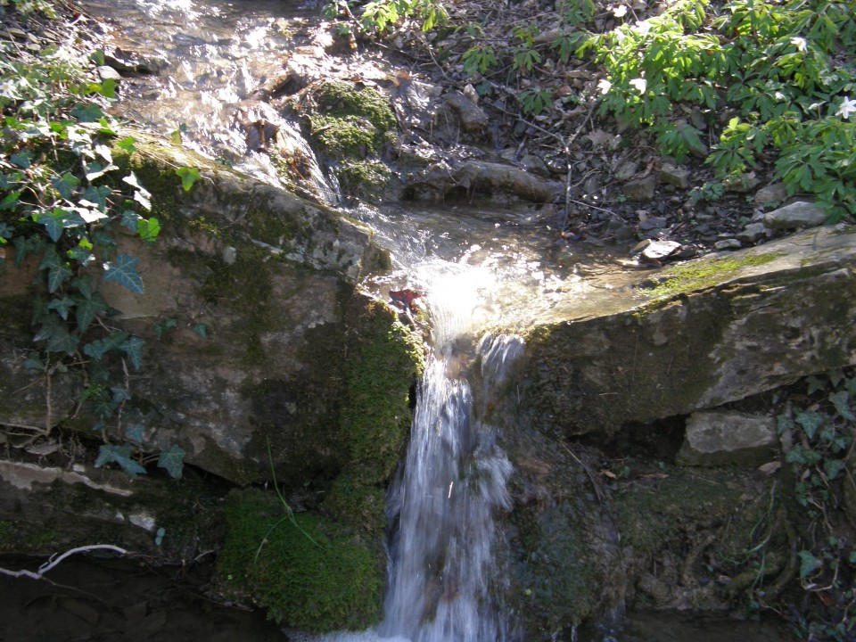 Moje naj slike 2 - foto povečava