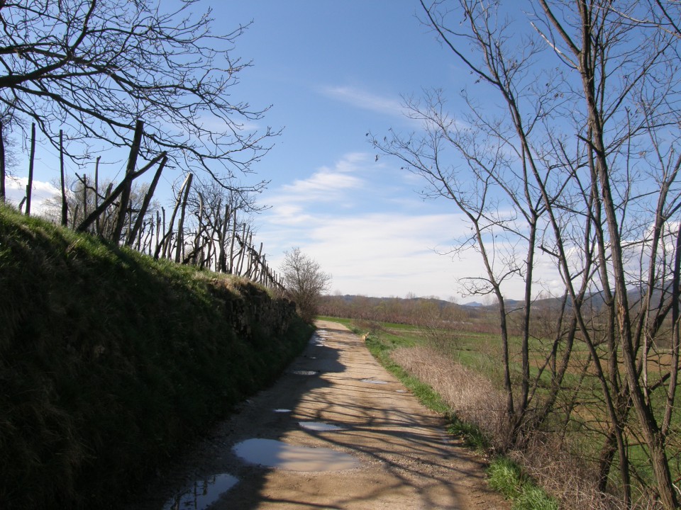 Moje naj slike 2 - foto povečava