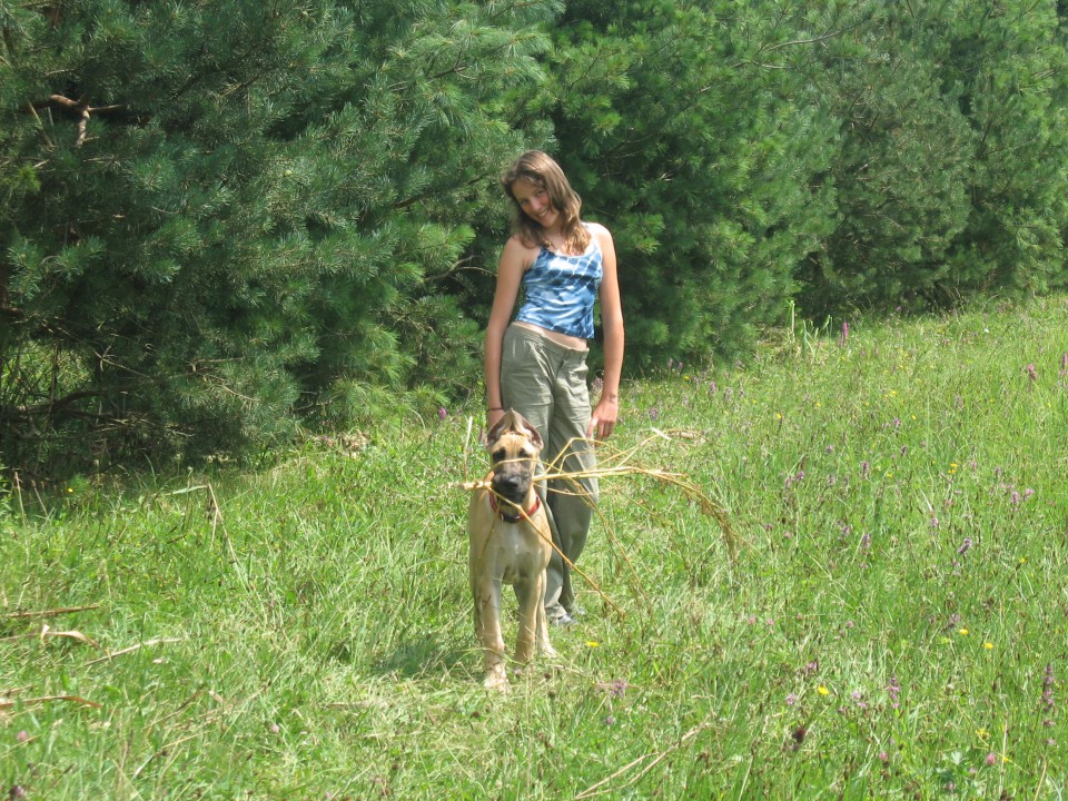 Kiba - foto povečava