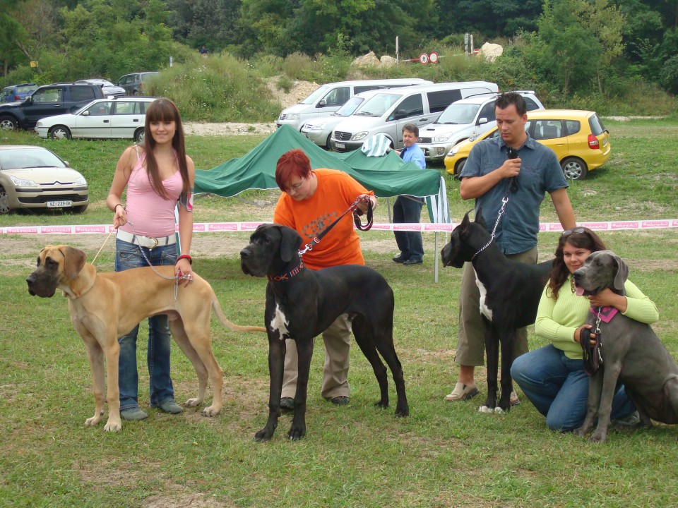 Oskar - foto povečava