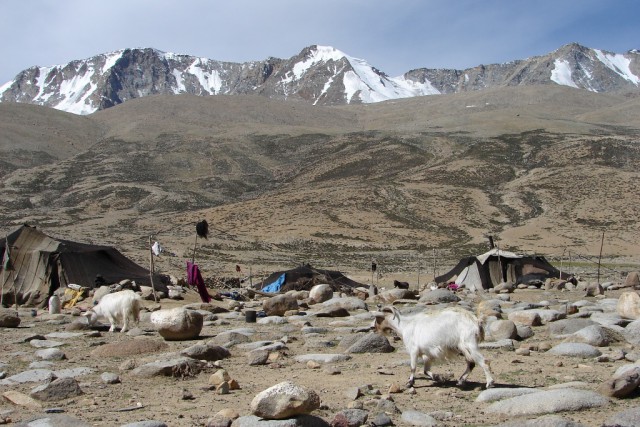 Severna Indija in Nepal 2007 - foto