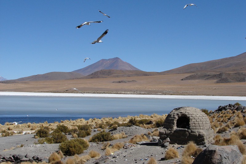 Bolivija in Peru 2008 - foto povečava