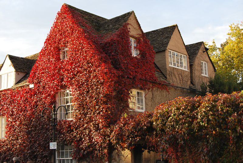 Južna Anglija in London oktober 2009 - foto povečava