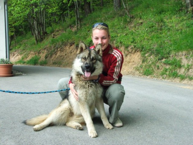 Albini mladički - foto