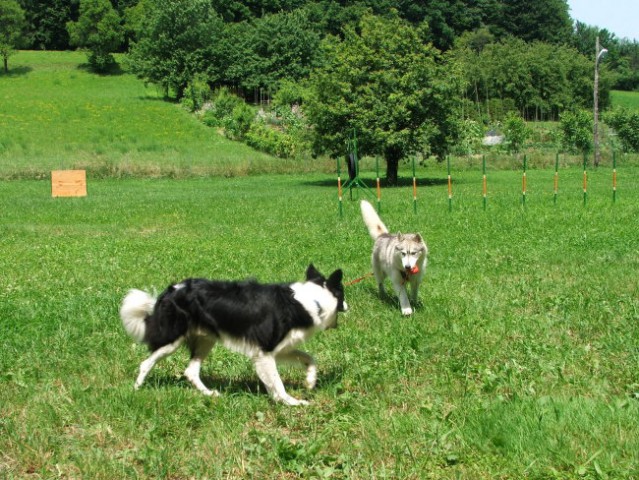 Šmarje - foto