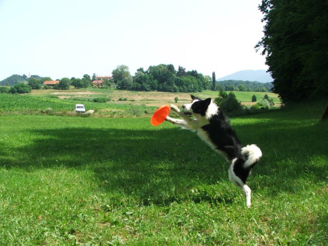 Šmarje - foto povečava