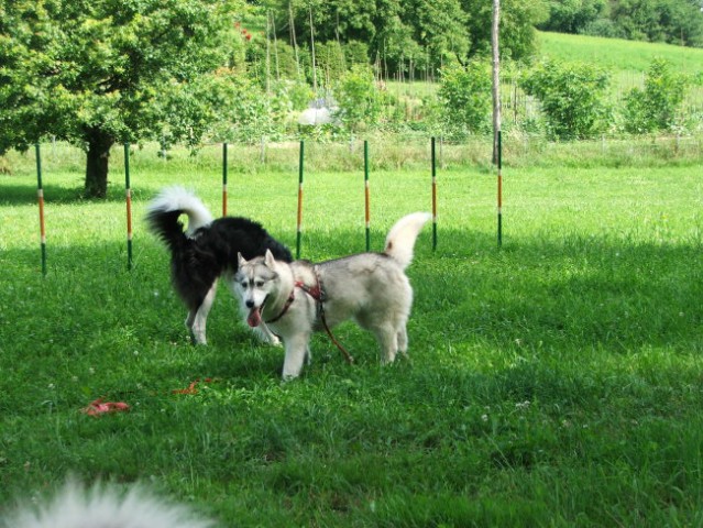 Šmarje - foto