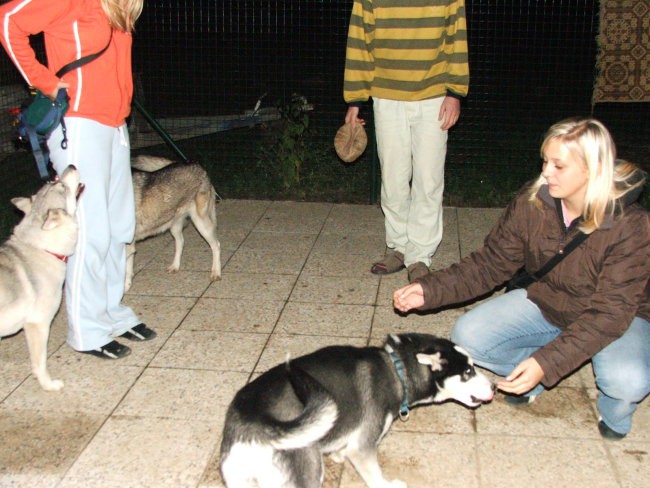 Živa in Kan na obisku pri Albi - foto povečava