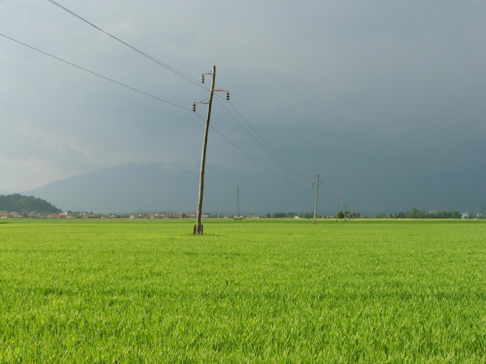 Razno - foto povečava