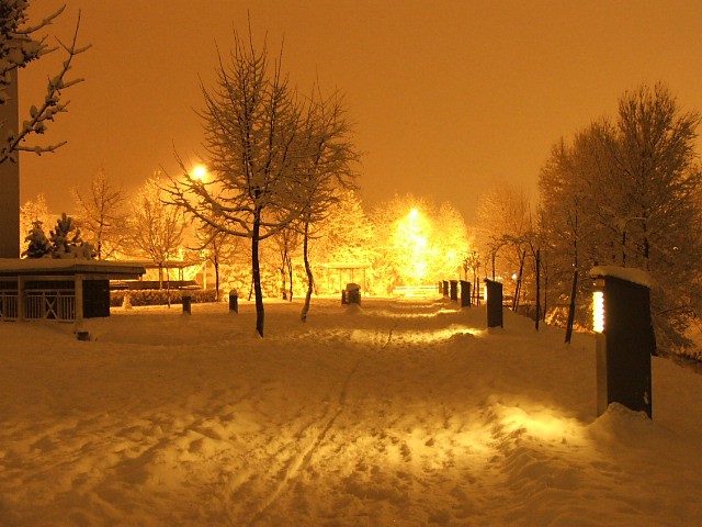 Zimski večer - foto
