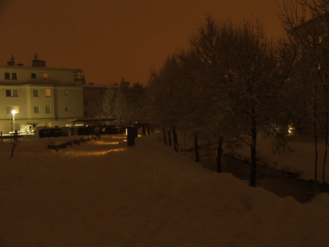 Zimski večer - foto