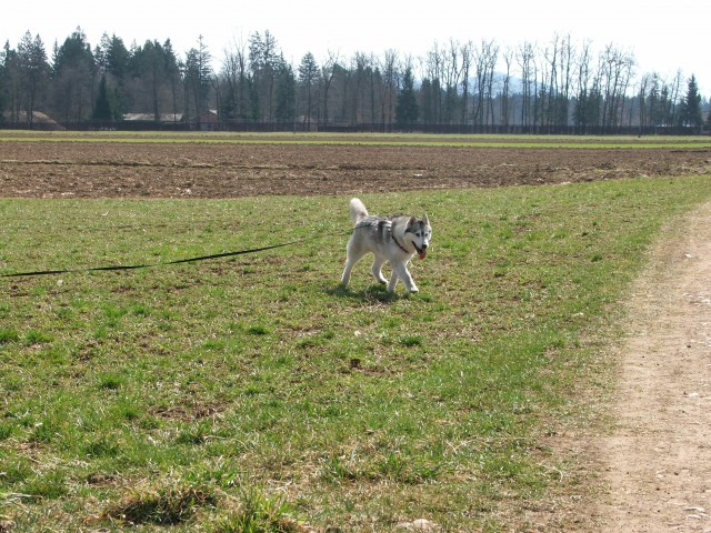 Alba in luongo - foto