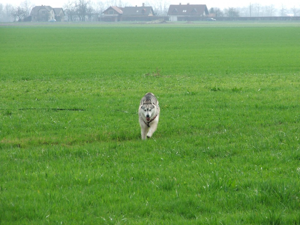 April 2009 - foto povečava