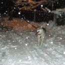 Alba in prvi sneg