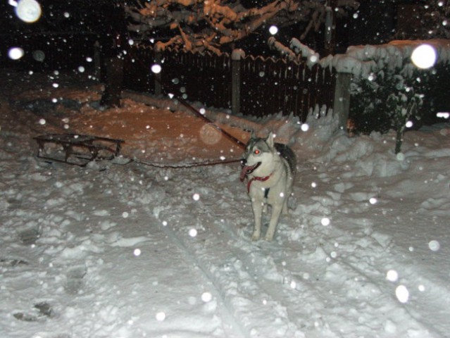 Alba in prvi sneg - foto
