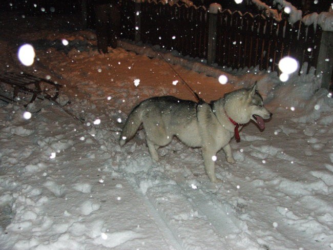Alba in prvi sneg - foto povečava