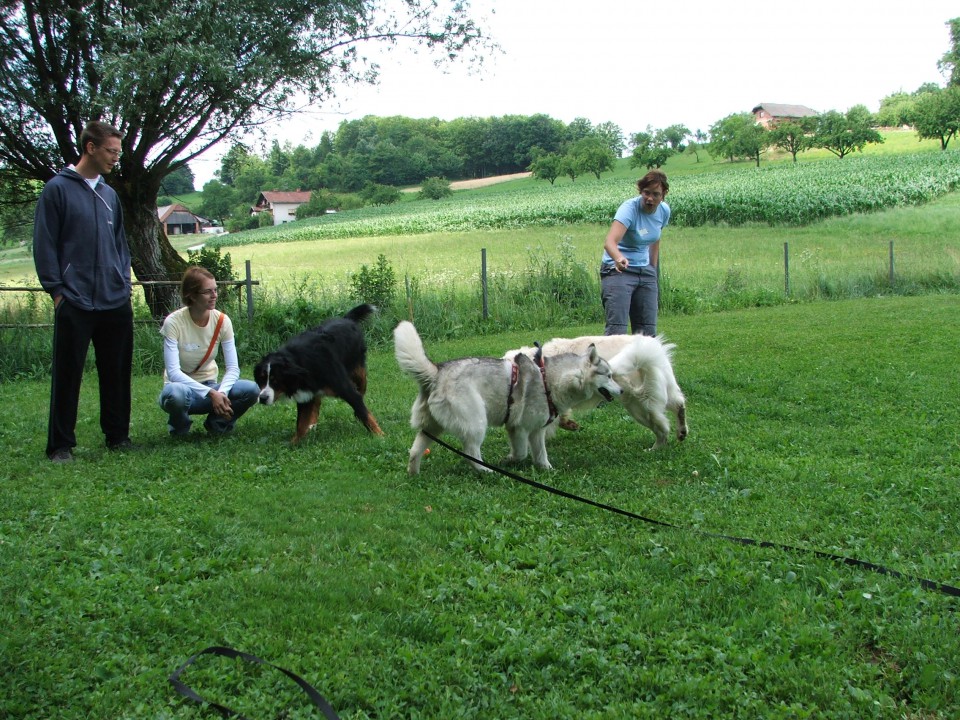 Šmarje 2009 - foto povečava