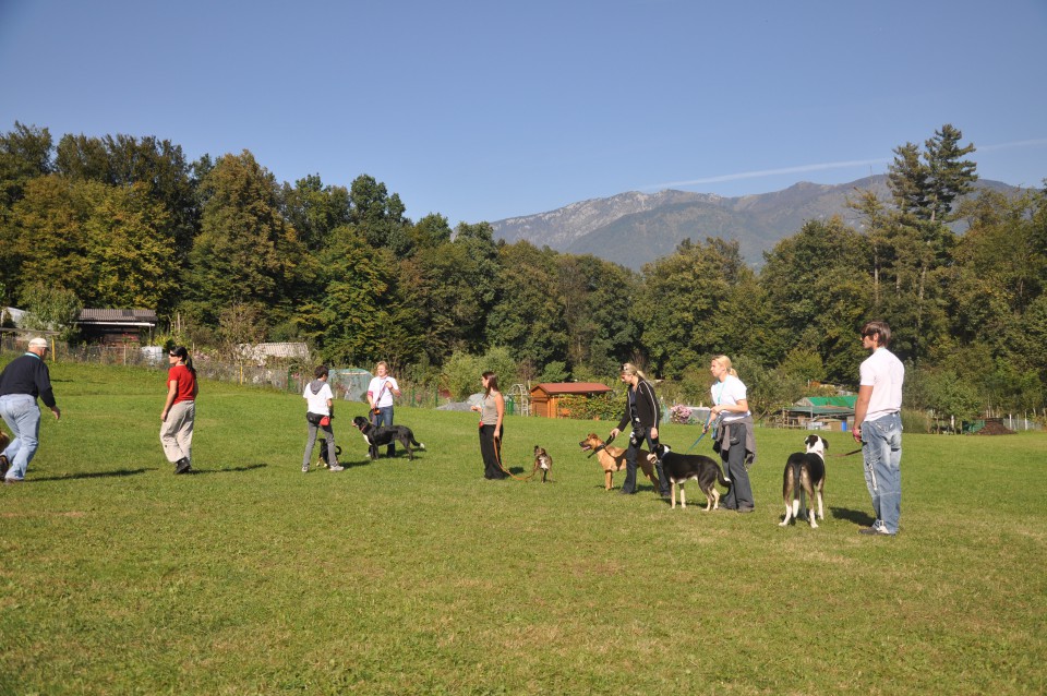 Pomurci - foto povečava