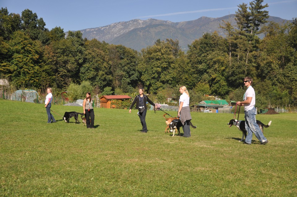 Pomurci - foto povečava