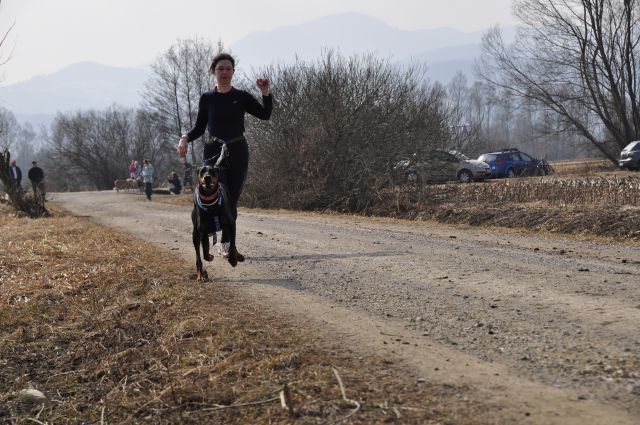 Canicross trening 12.3. - foto