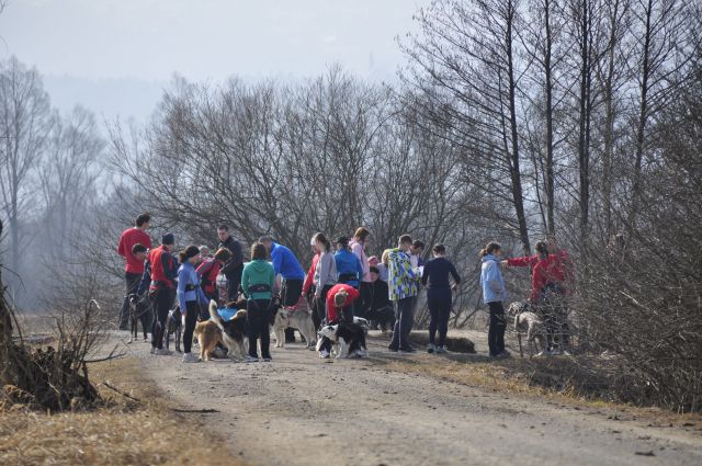 Canicross trening 12.3. - foto