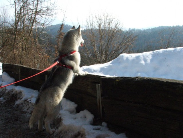 Sprehod na Dobeno - foto