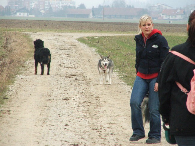 Srečanje polarcev in bernija v Trzinu - foto povečava