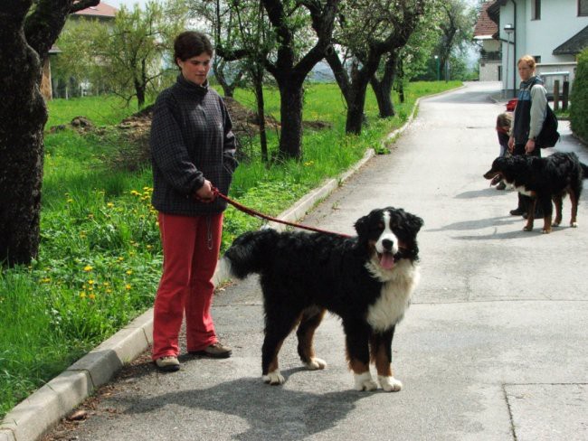 Dobeno prvi maj - foto povečava