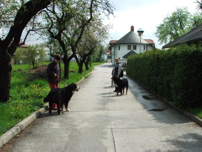 Dobeno prvi maj - foto povečava