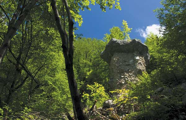 Forum uganke - foto povečava