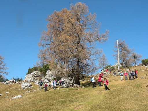 Slemenova špica 18.10.2008-Miran - foto povečava