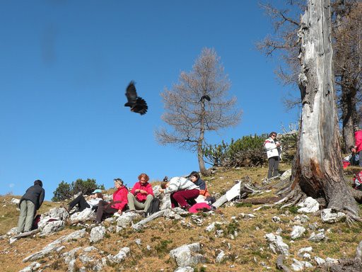 Slemenova špica 18.10.2008-Miran - foto povečava