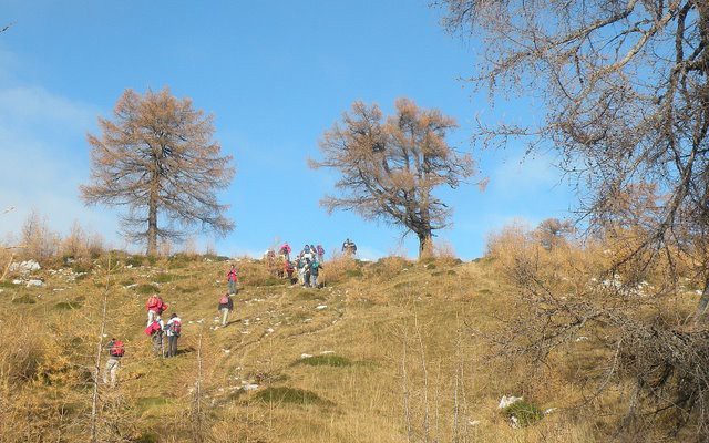 Slemenova špica 18.10.2008-Miran - foto