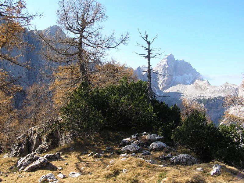 Slemenova špica 18.10.2008-Tine - foto povečava