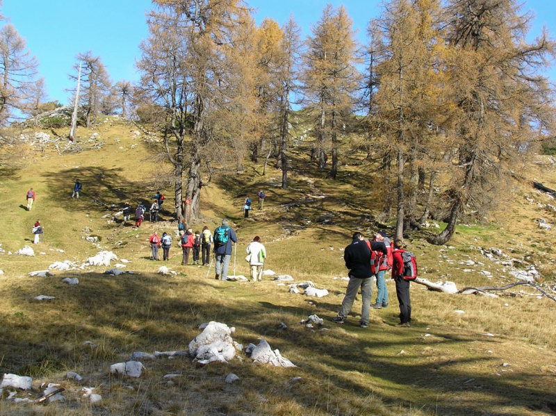 Slemenova špica 18.10.2008-Tine - foto povečava