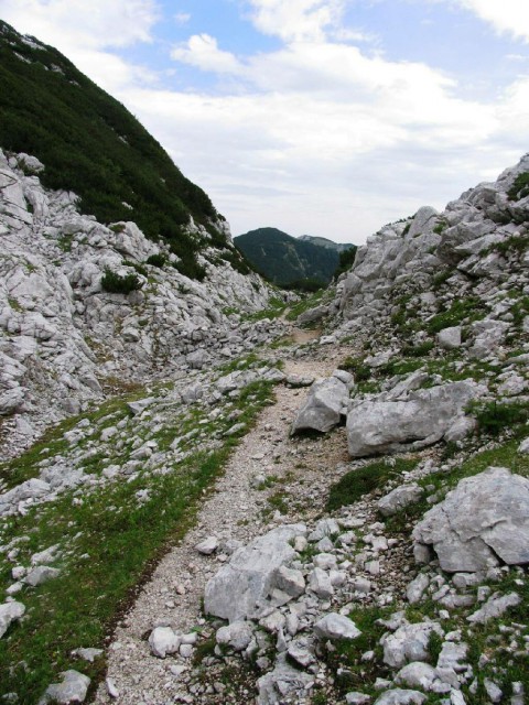 Lepo po poti proti planini Lipanca