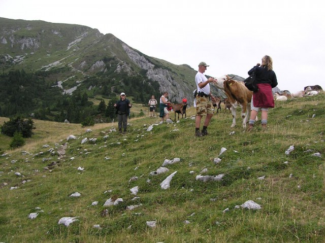 Ob povratku so nas pričakali predstavniki goveda, koz, ovc in osličkov