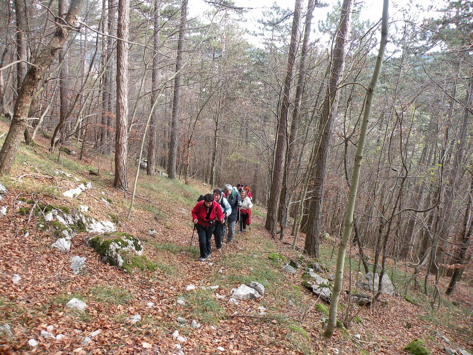 Do naslednjega cilja smo kar dobro grizlim kolena