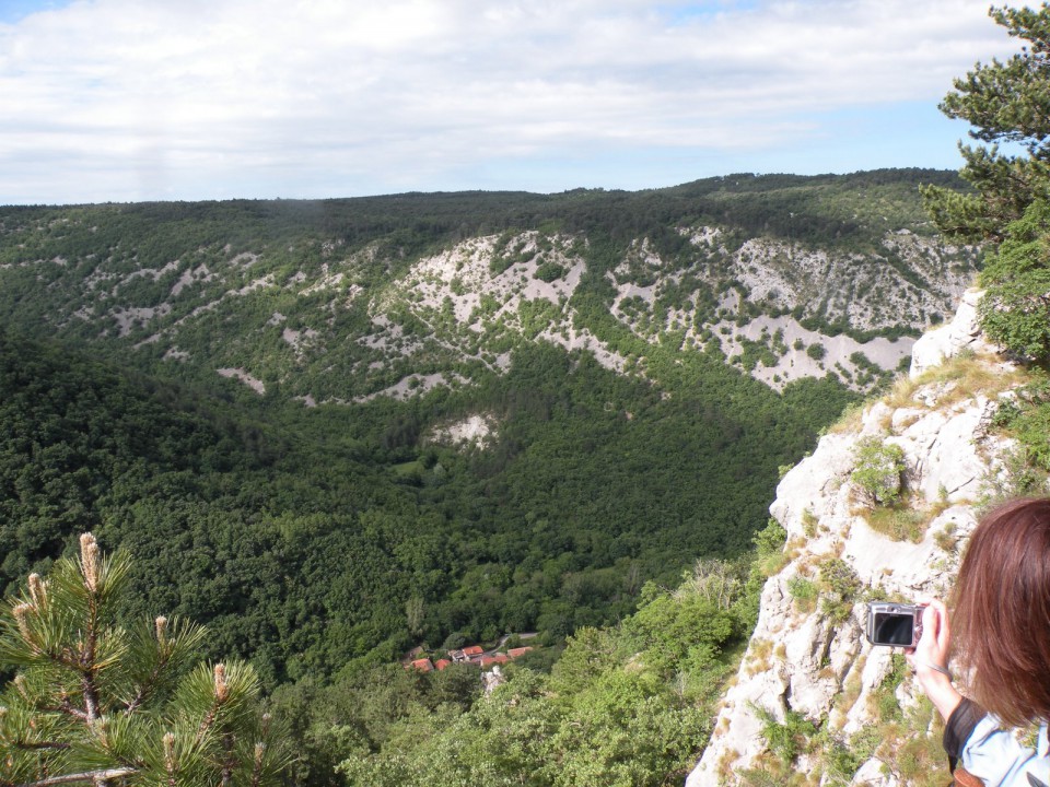 Vasica Botač v kanjonu