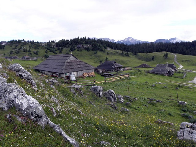 Tudi pastirji na Mali planini nas niso jemali resno v takem vremenu